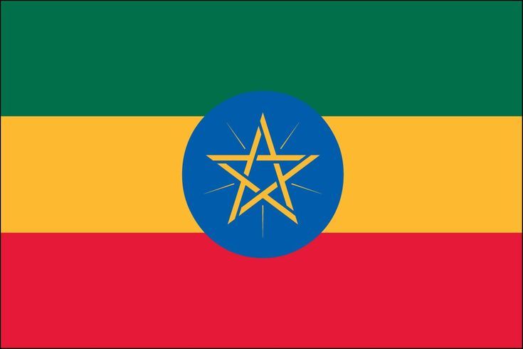 Ethiopian Diaspora Culture Lover